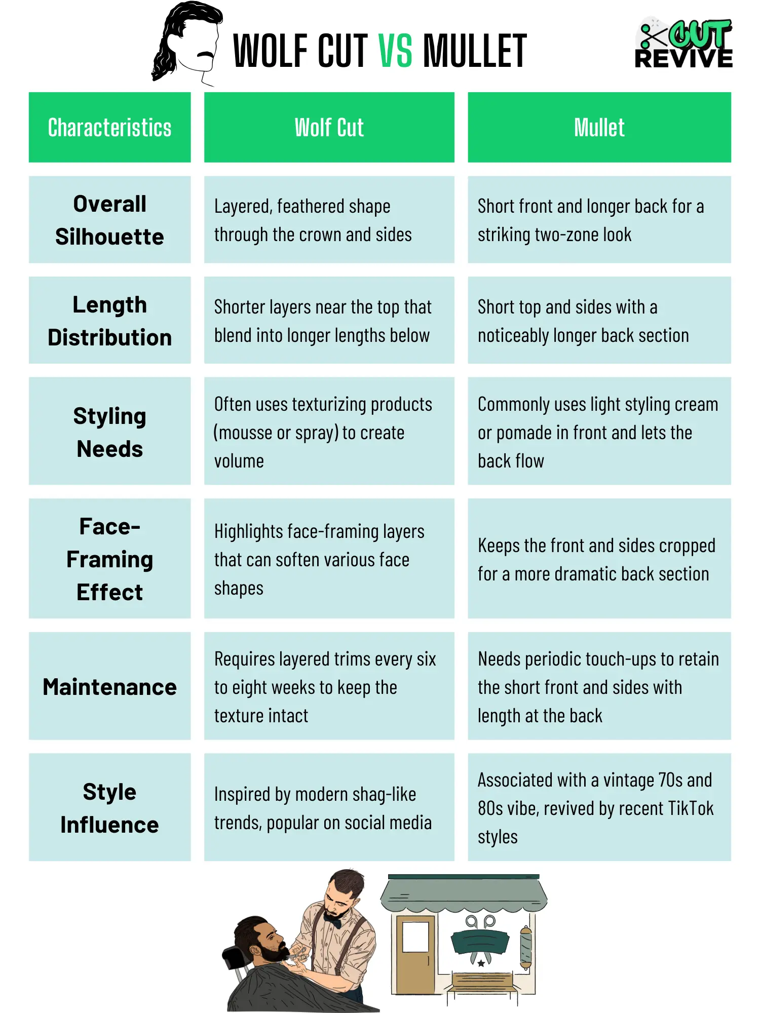 Wolf Cut vs Mullet Infographic