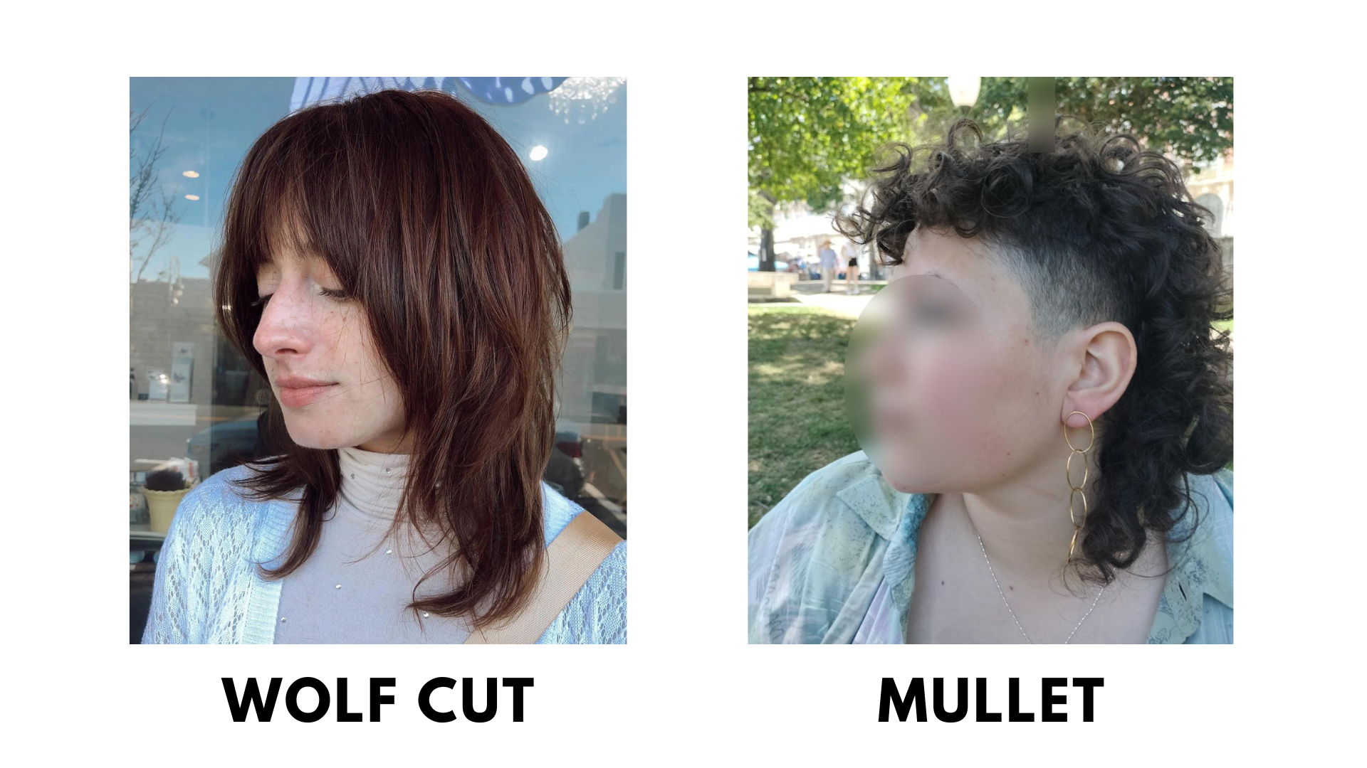 Wolf Cut vs Mullet